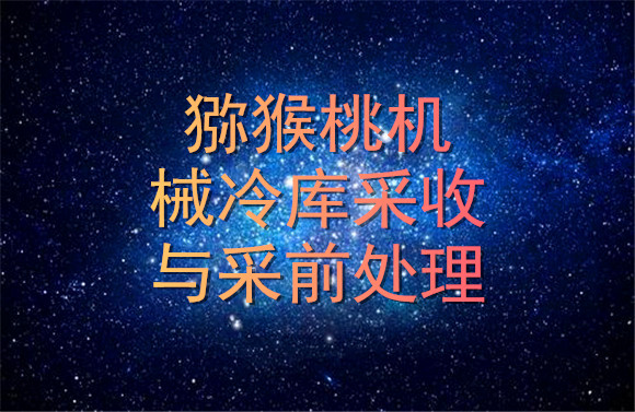 獼猴桃機(jī)械冷庫(kù)采收與采前處理.jpg