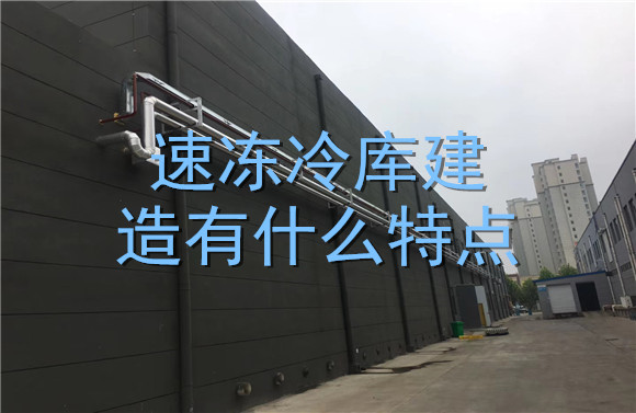 速凍冷庫建造有什么特點(diǎn).jpg