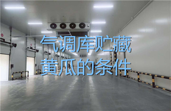 氣調庫貯藏黃瓜的條件.jpg