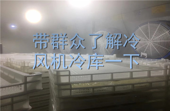 帶群眾了解冷風(fēng)機(jī)冷庫(kù)一下.jpg