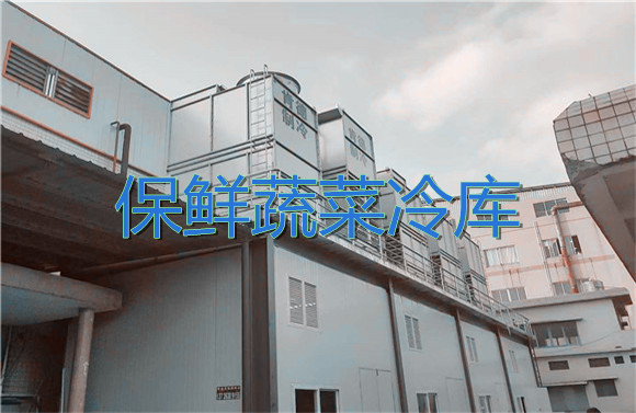 保鮮蔬菜冷庫(kù).jpg