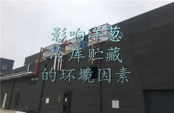 影響洋蔥冷庫貯藏的環(huán)境因素.jpg